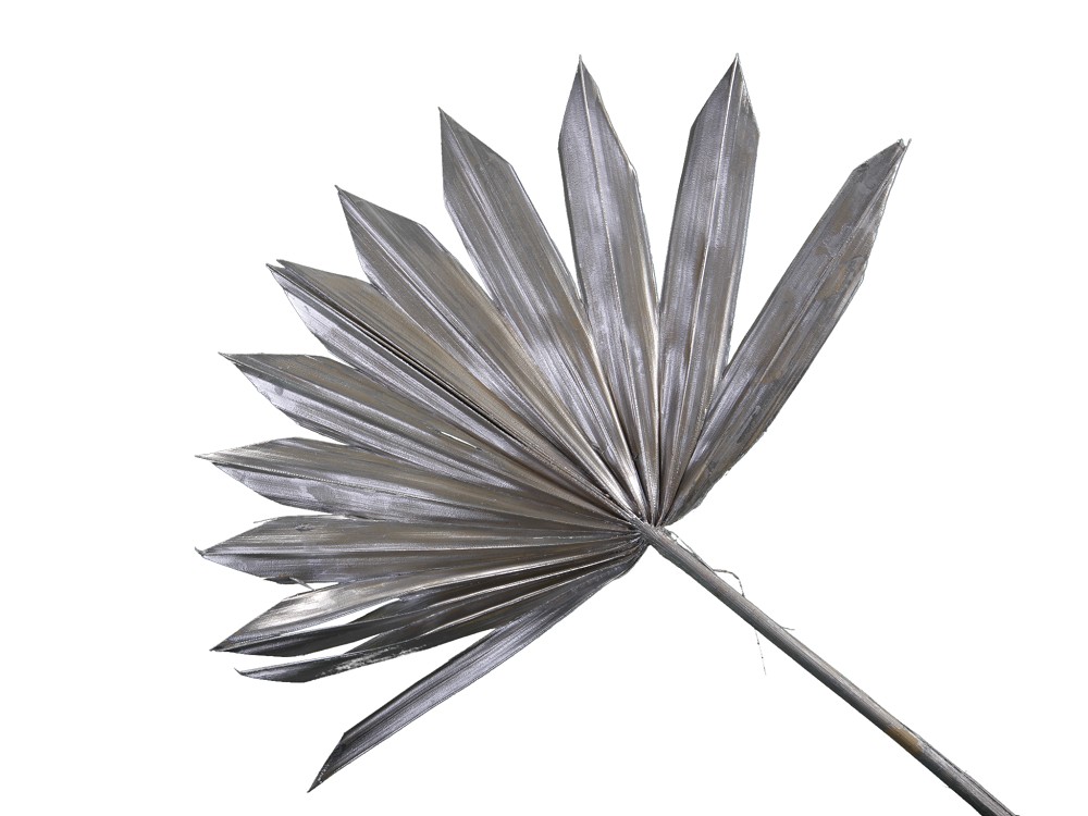 Palmfächer Silber 30-40cm (3 Bund)