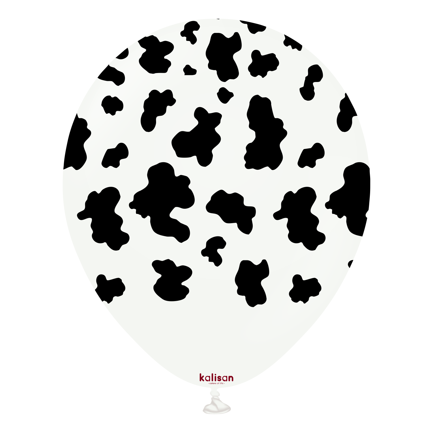 12" Safari Cow White - Black (25 Stück)