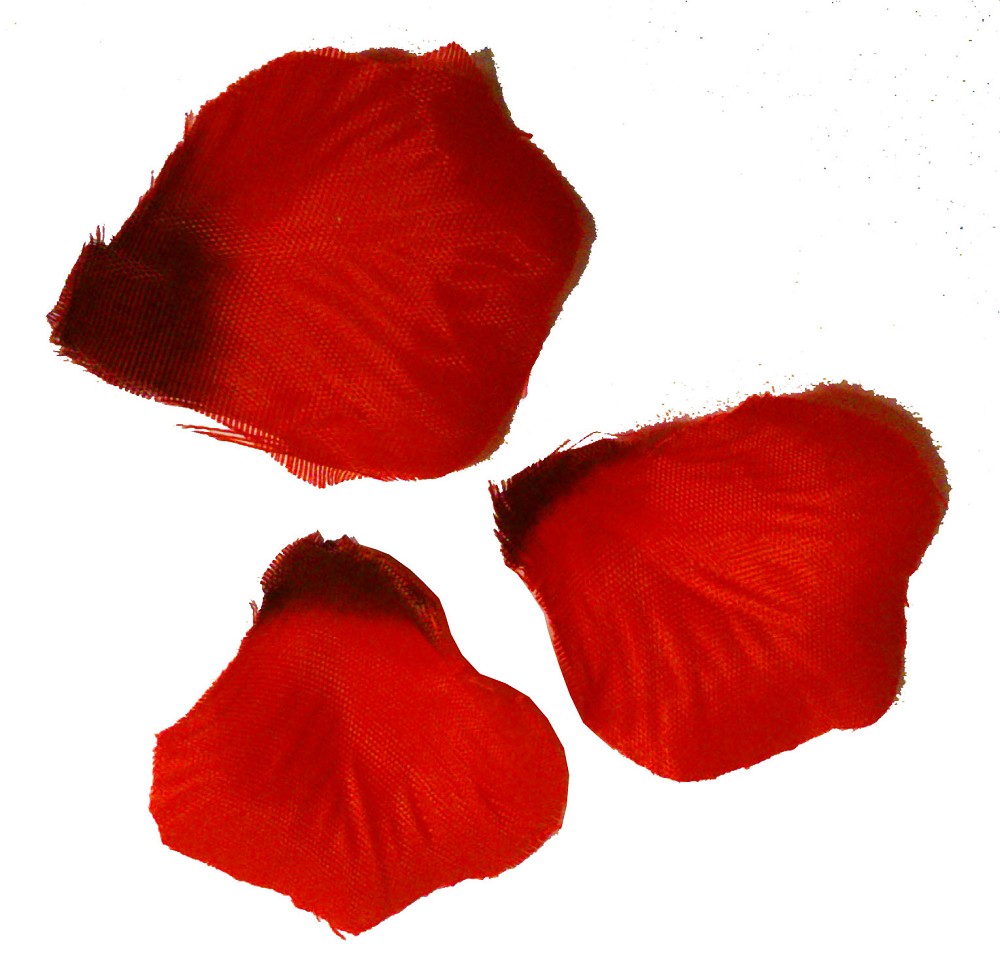 Rosenblätter rot