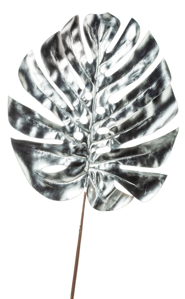 Monsterablatt Silber, 89 cm (Blatt 36 cm)