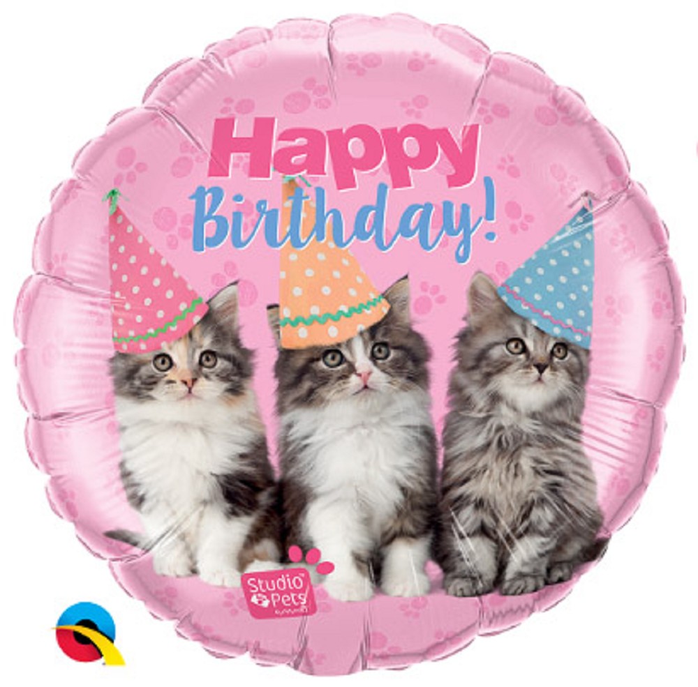 18" Studio Pets - Birthday Kittens
