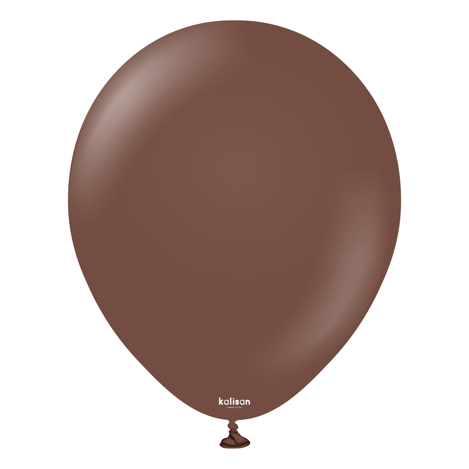 12" Standard Chocolate Brown (100 Stück)