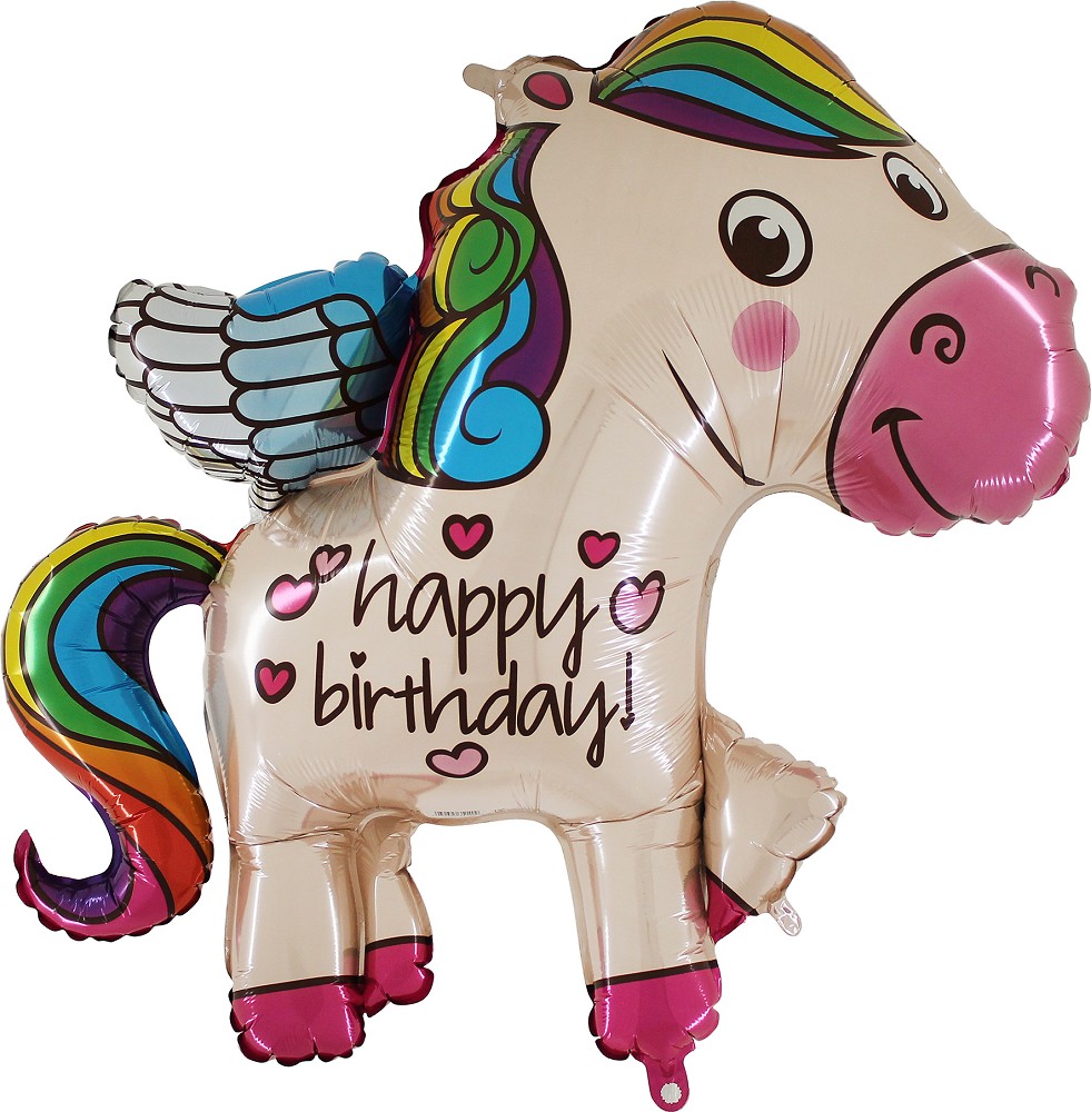 45" Rainbow Birthday Pony