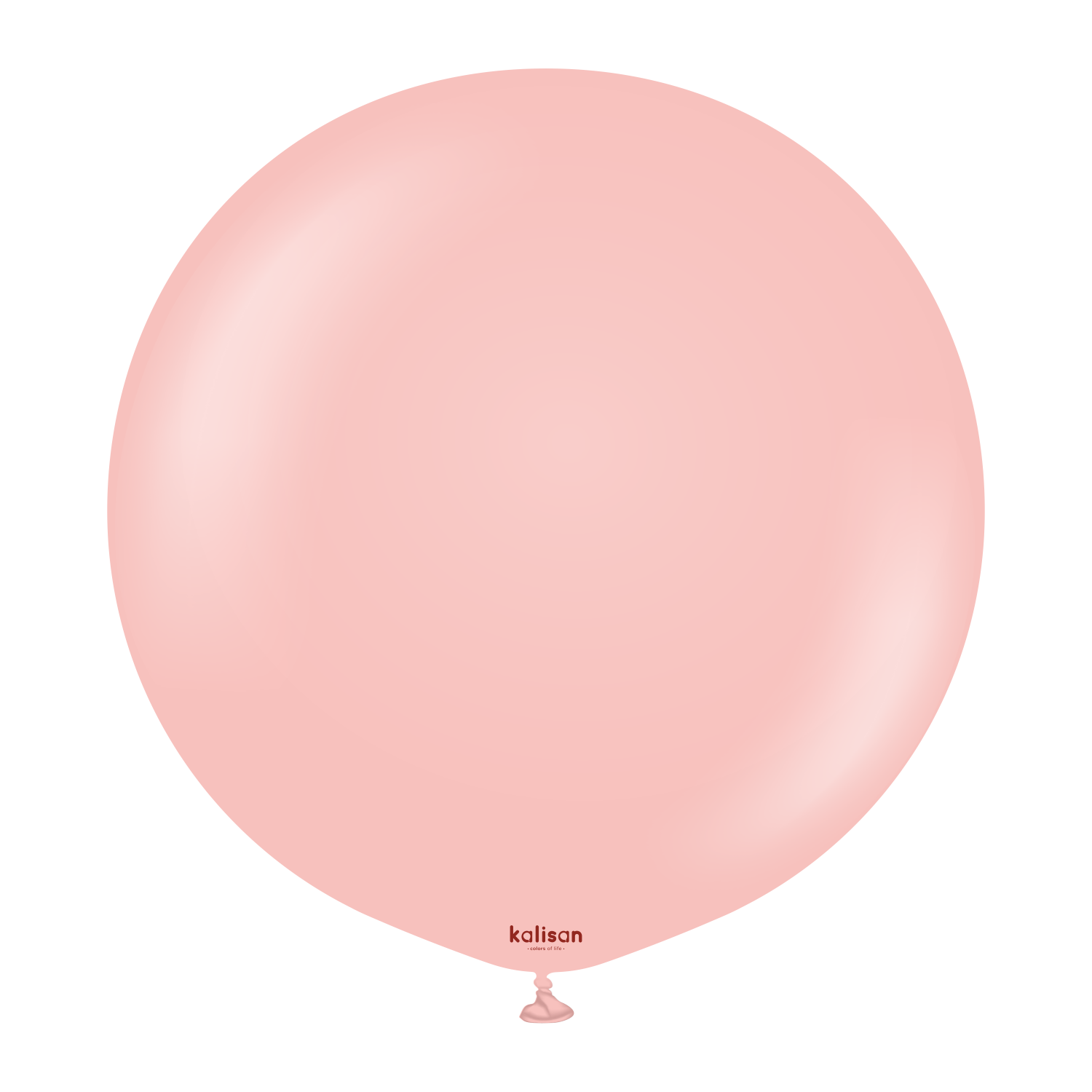 24" Standard Baby Pink (2 Stück)
