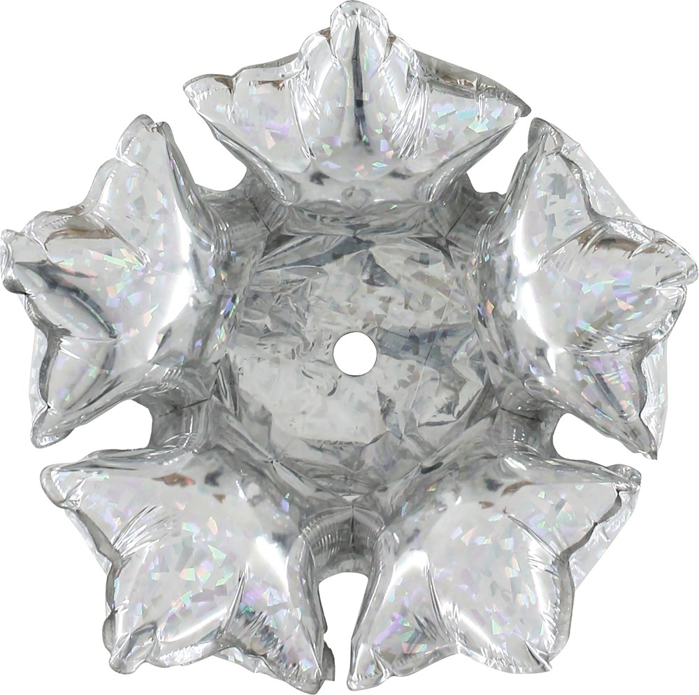 14" Sternen Cluster Glitter Holographic Silver